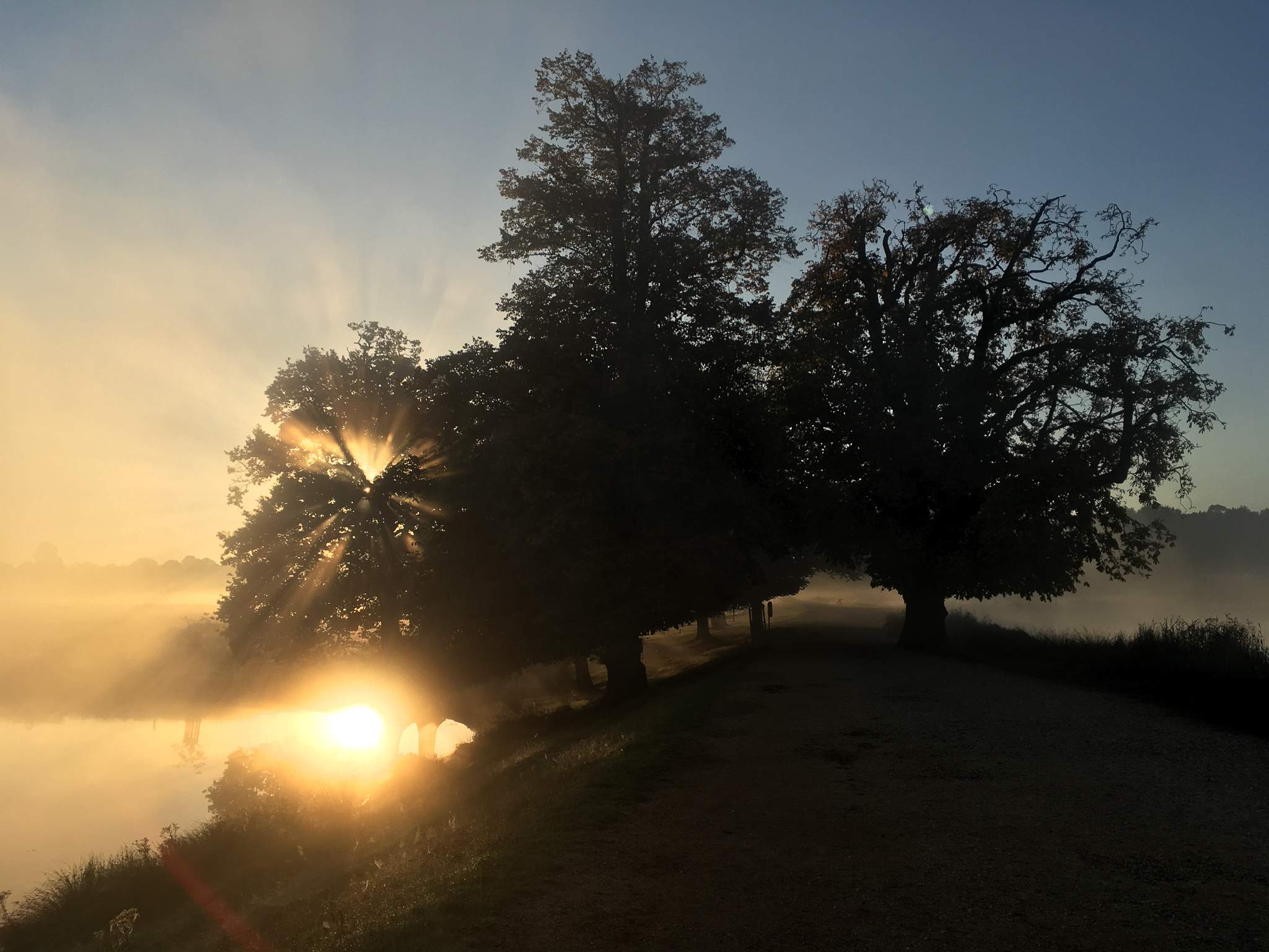 Early morning at Richmond Park, London UK