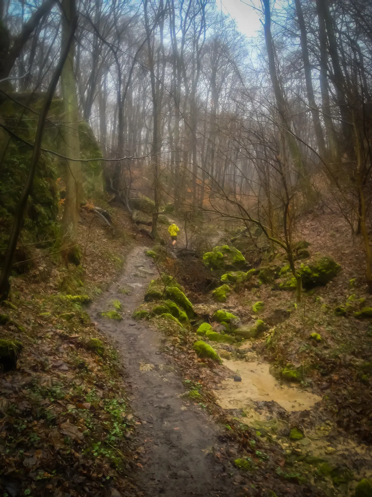 Running up the muddy gorge during damp wather