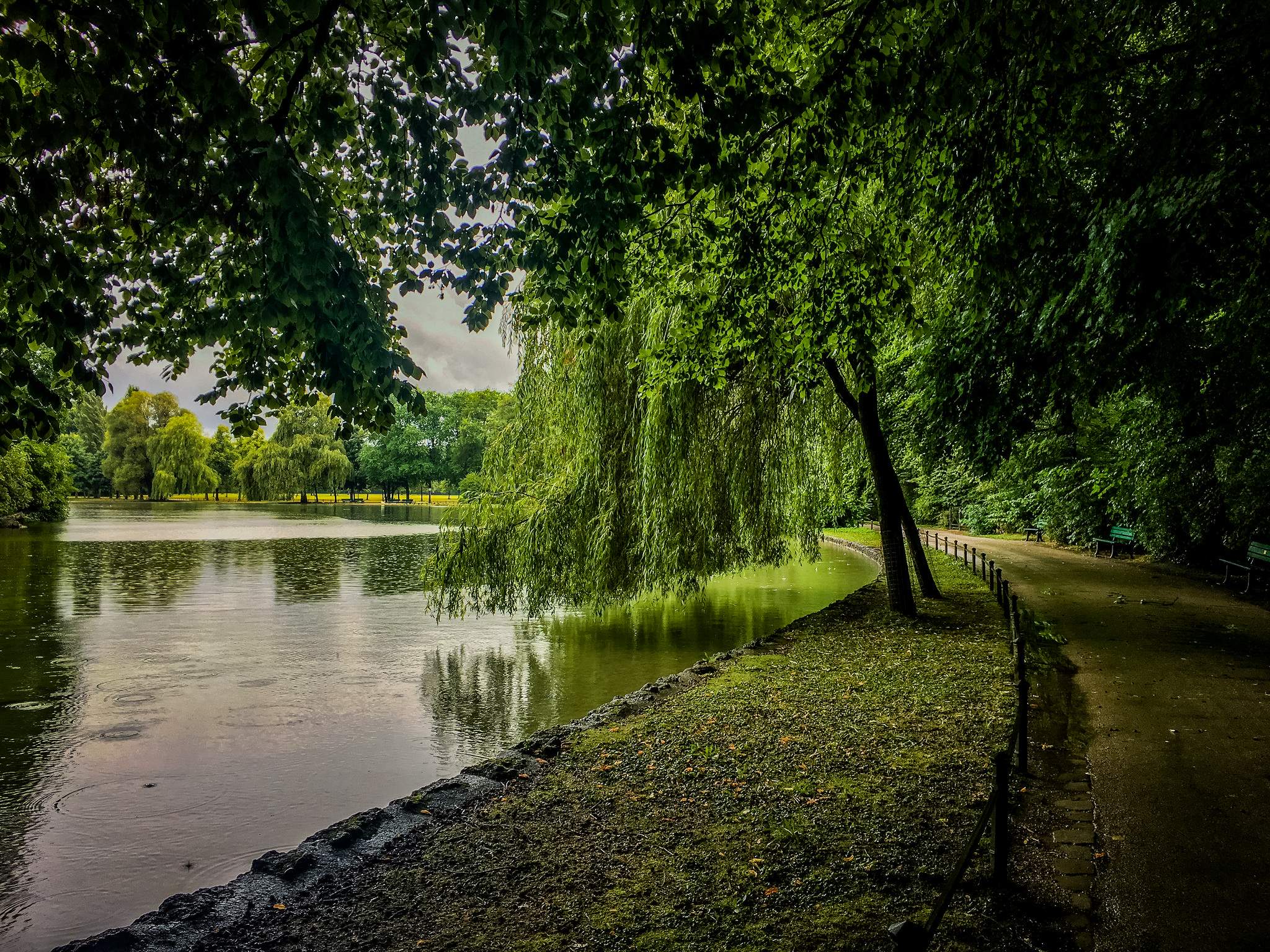 Love the colors, green trees and paths around Englischer Garten, Munich, Germany