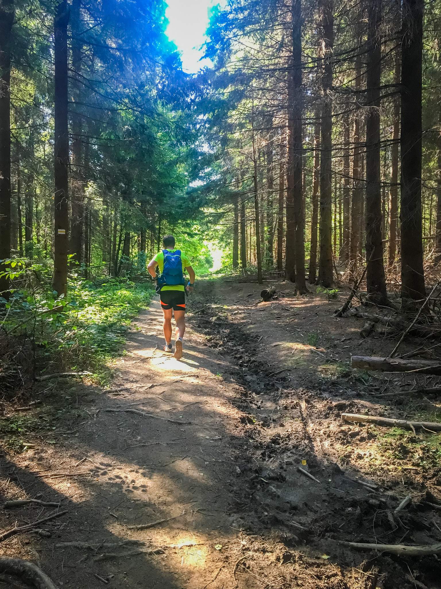 Running with Michał at Magurski Ultramaraton, 58km route