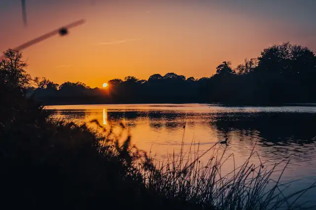 A sunset captured at Richmond Park, London, UK
